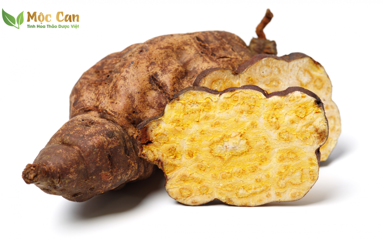 HÀ THỦ Ô - DƯỢC LIỆU QUÝ CHỮA BỆNH CỦA NGƯỜI Á ĐÔNG 2